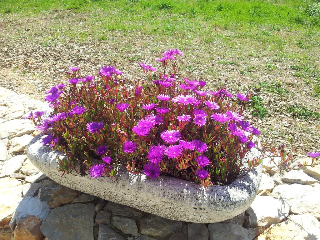 Le Donjon Des Combes Et Son Spa ฟายองซ์ ห้อง รูปภาพ